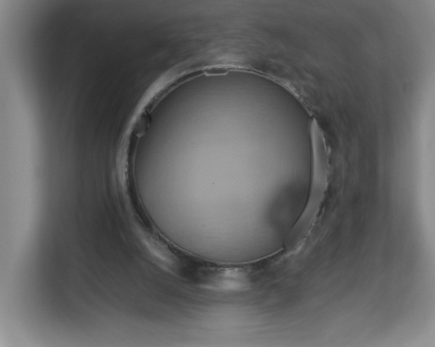 X0000113110056200909041254