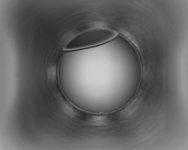 X0000113110057200909041254