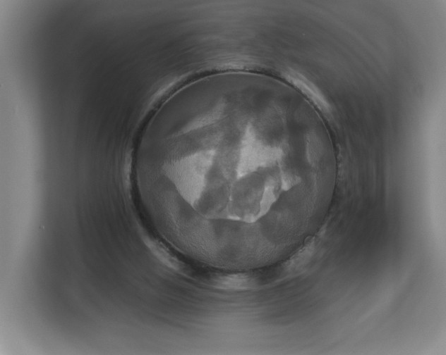 X0000113110058200909041254