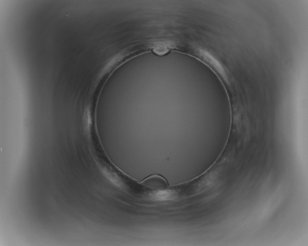 X0000113110059200909041254