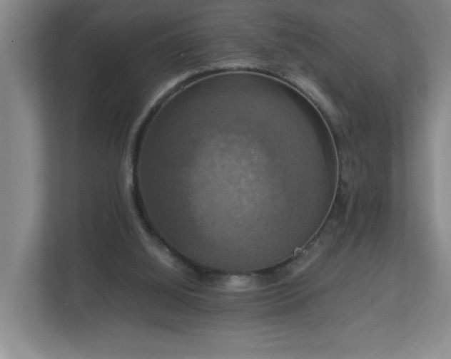 X0000113110060200909041254