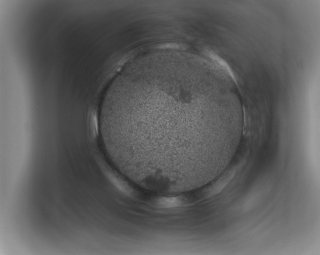X0000113110061200909041254