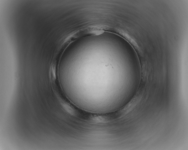 X0000113110062200909041254