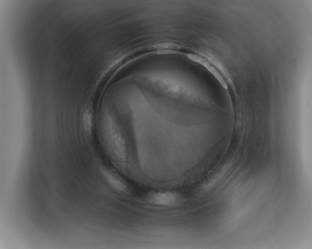 X0000113110063200909041254