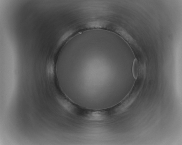 X0000113110064200909041254