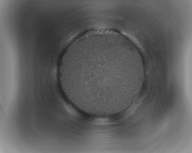 X0000113110066200909041254