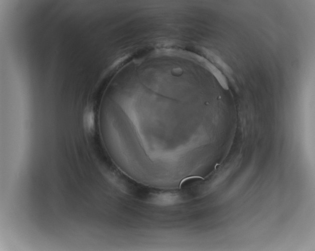 X0000113110067200909041254