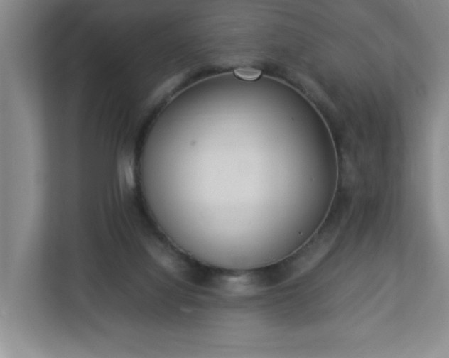 X0000113110068200909041254