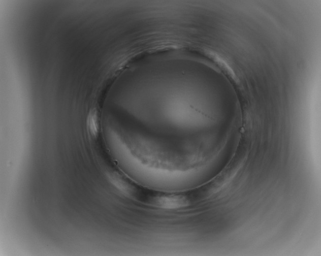 X0000113110069200909041254