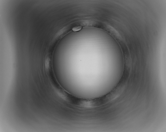 X0000113110071200909041254