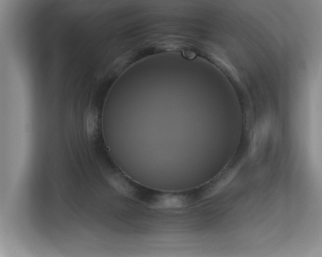 X0000113110073200909041254