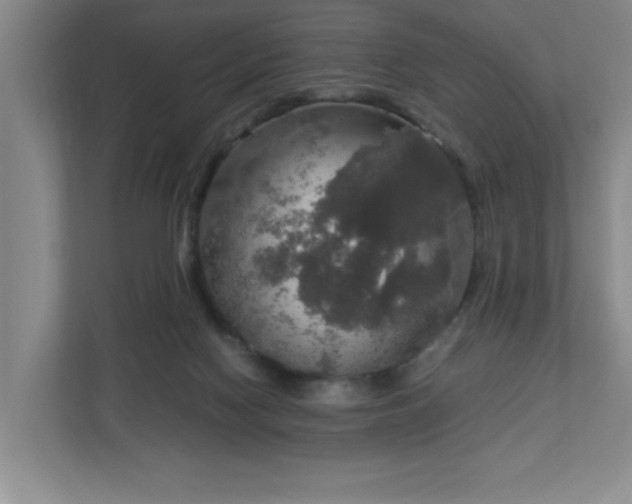 X0000113110074200909041254