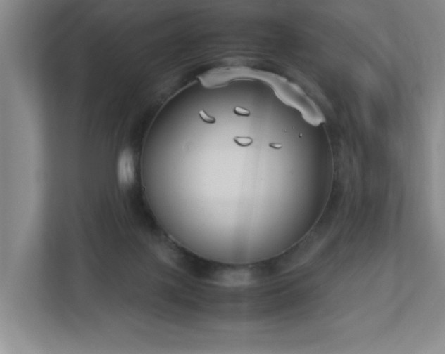 X0000113110075200909041254