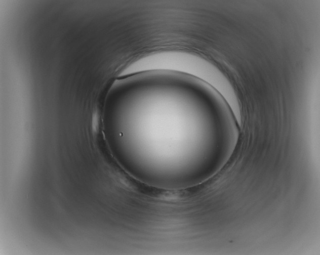 X0000113110076200909041254