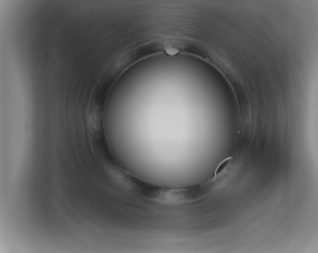 X0000113110078200909041254