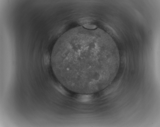 X0000113110081200909041254