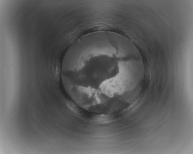 X0000113110082200909041254