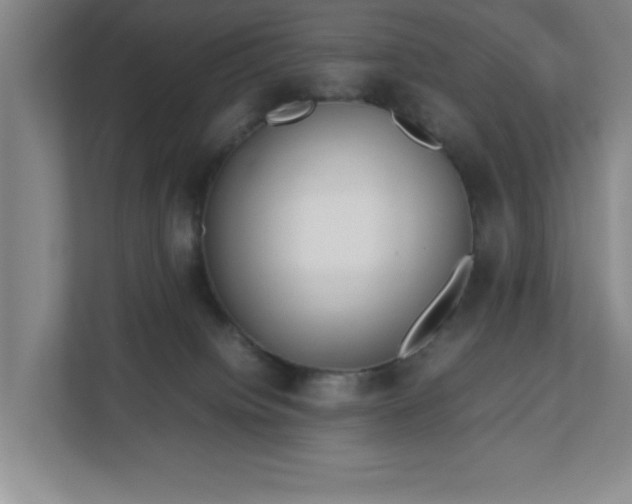 X0000113110084200909041254