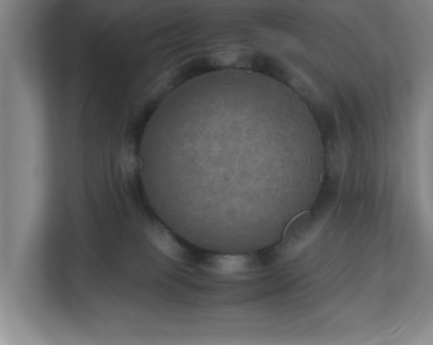 X0000113110085200909041254