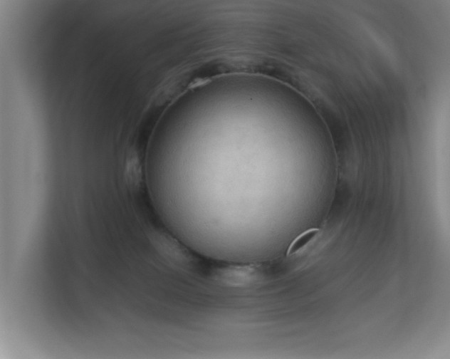 X0000113110086200909041254