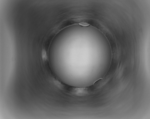 X0000113110089200909041254