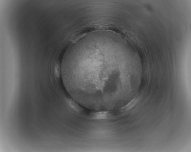 X0000113110090200909041254
