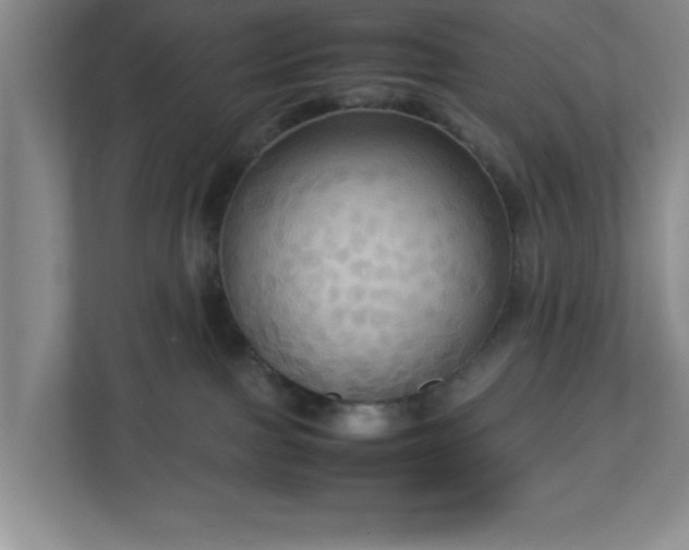 X0000113110091200909041254