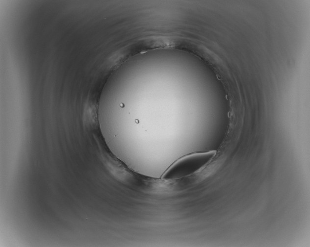X0000113110096200909041255