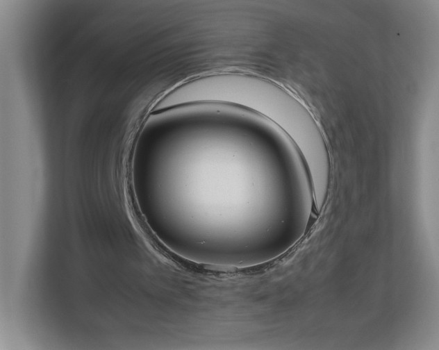 X0000113110097200909041254