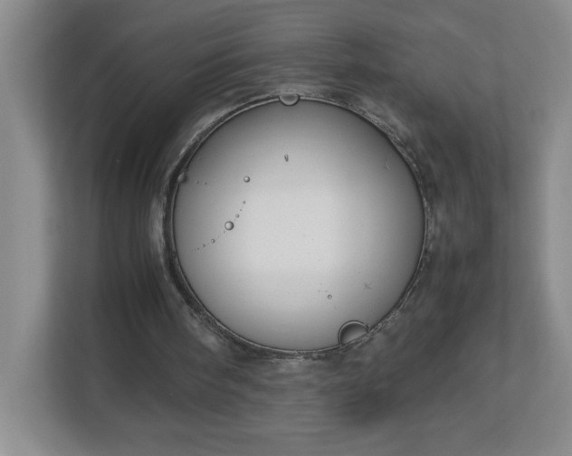 X0000113110098200909041254