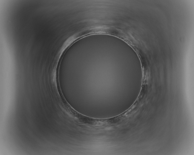 X0000113110099200909041254