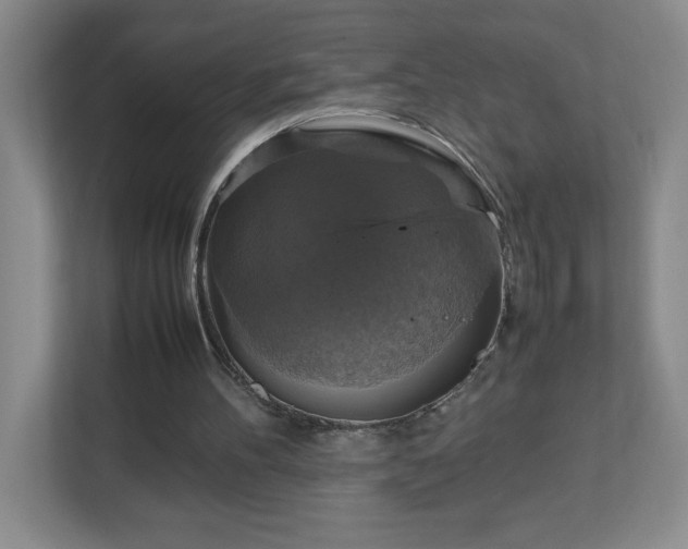 X0000113110100200909041254