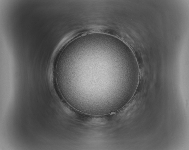 X0000113110101200909041254