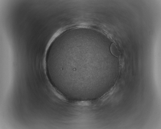 X0000113110102200909041254
