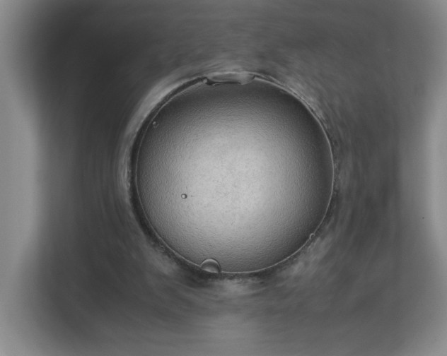 X0000113110103200909041254