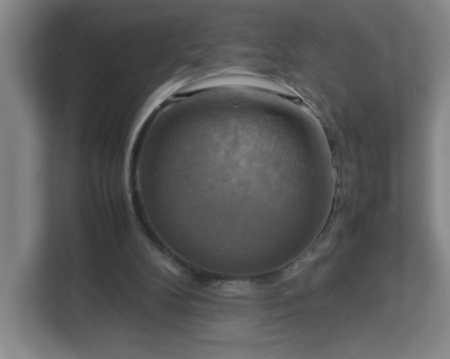X0000113110104200909041254