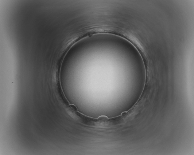 X0000113110105200909041254