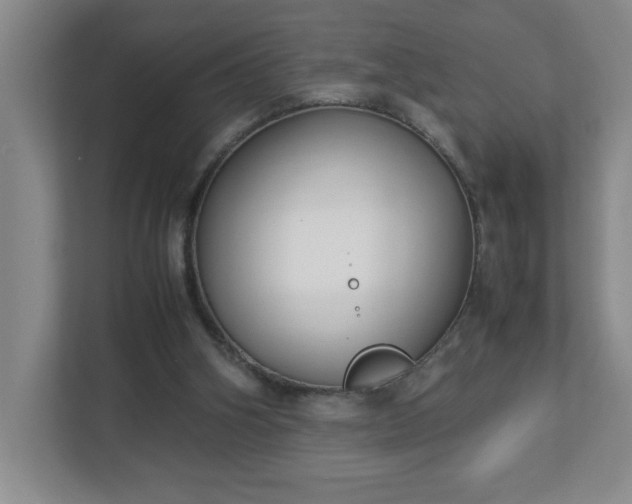 X0000113110106200909041254