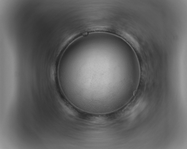 X0000113110107200909041254