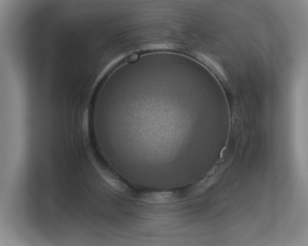 X0000113110108200909041254