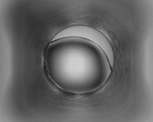 X0000113110109200909041254