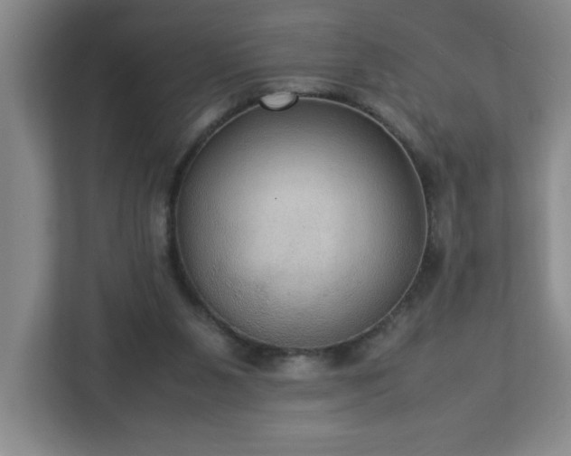 X0000113110111200909041254