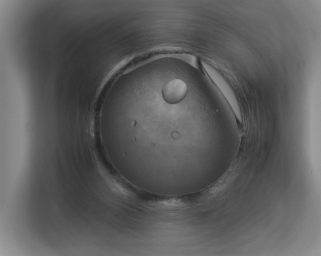 X0000113110112200909041254