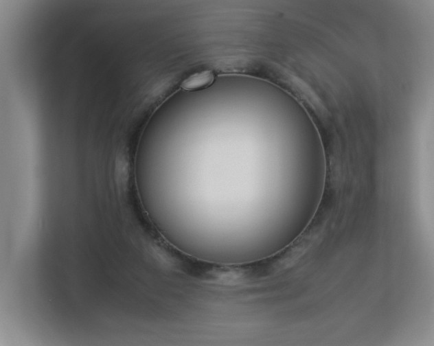 X0000113110113200909041254