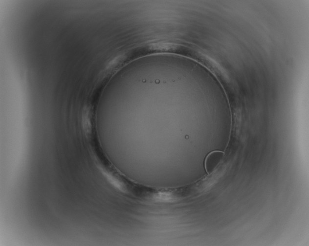 X0000113110114200909041254