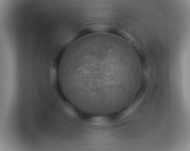 X0000113110117200909041254