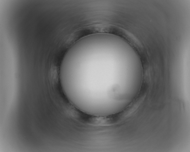 X0000113110121200909041254