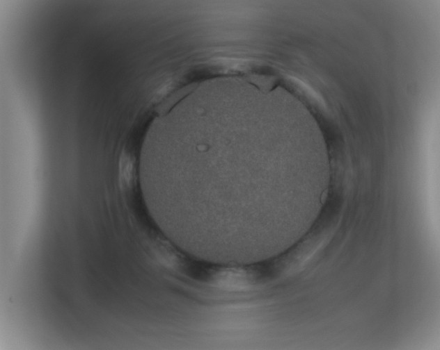 X0000113110123200909041254