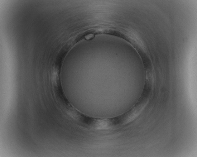 X0000113110127200909041253