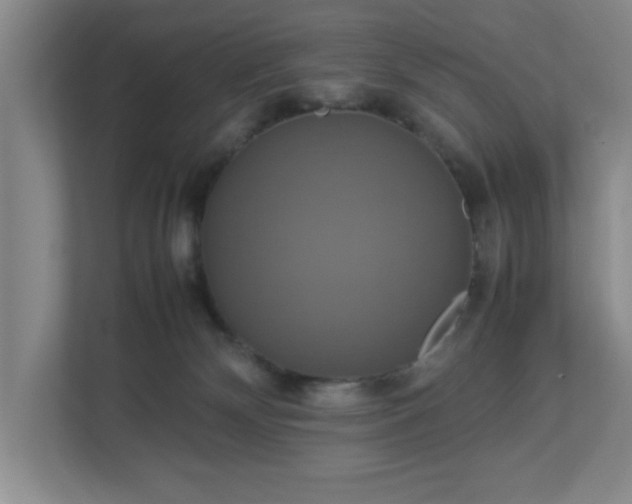 X0000113110132200909041253